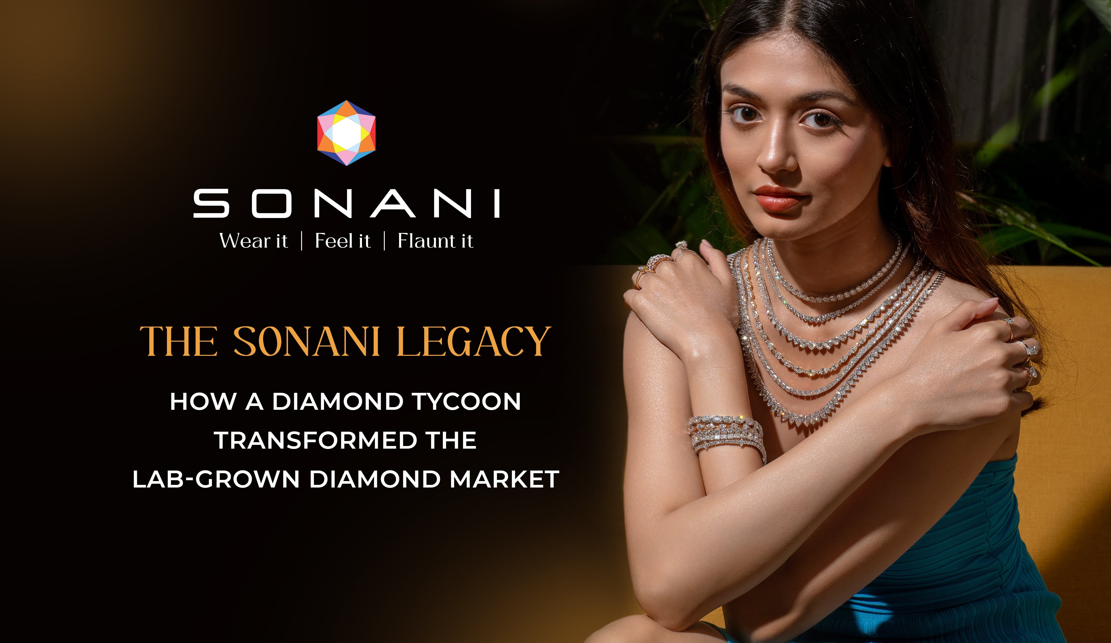 The Sonani Legacy 1